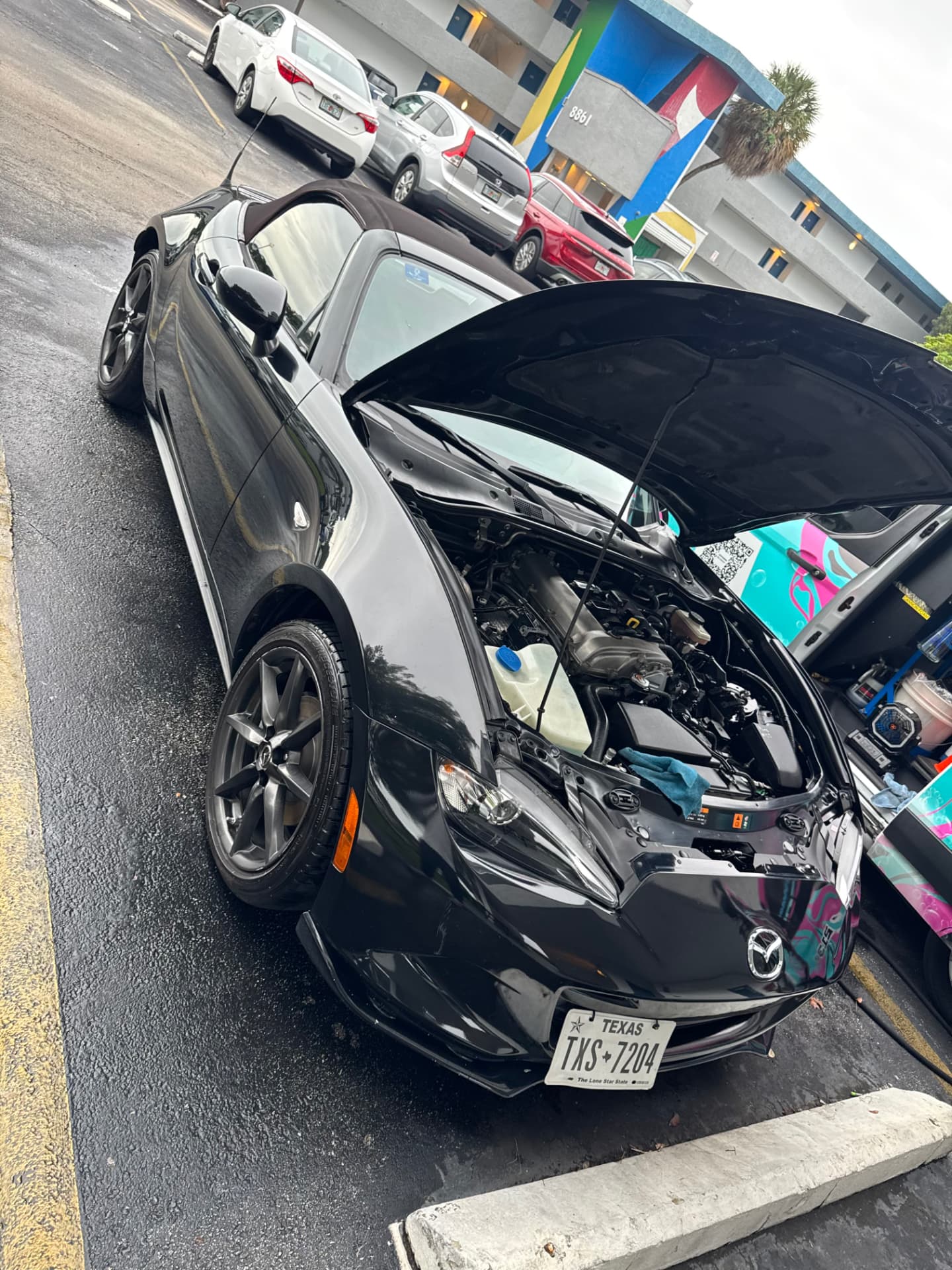 Convertible engine bay cleaned and dressed, top down