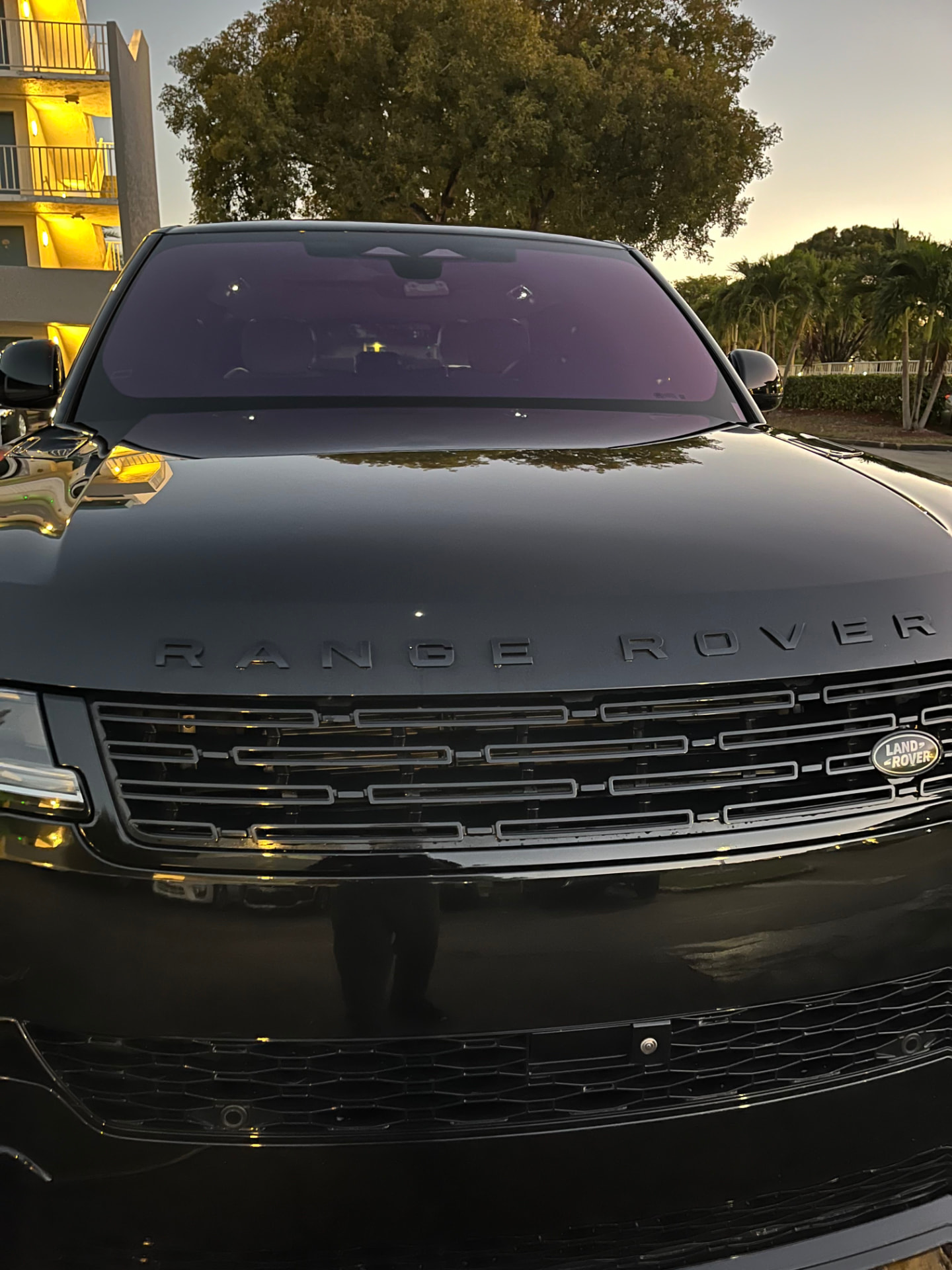 Black SUV front end, decontaminated and sealed